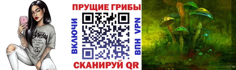 Псилоцибиновые грибы мухоморы  дарк нет формула  Лодейное Поле 