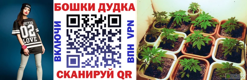 Канабис тримм Лодейное Поле